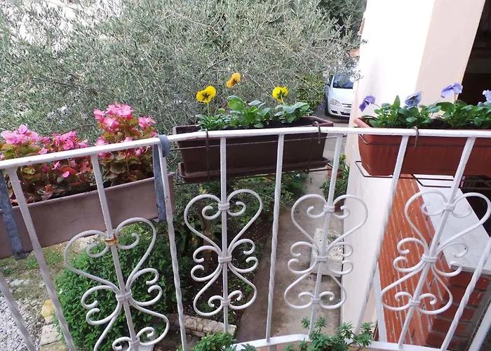 Apartman 33